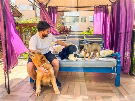 Hotel Pet Friendly Santa Catarina - Pousadas Pet Friendly em Santa Catarina: 12 dicas em 2026