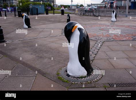 Penguins outside Dundee's Discovery Centre. Dundee, Scotland. Situated ...