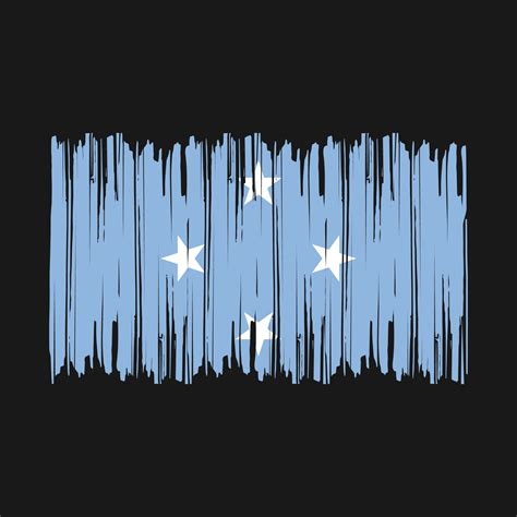 Micronesia Flag Brush 20477782 Vector Art at Vecteezy