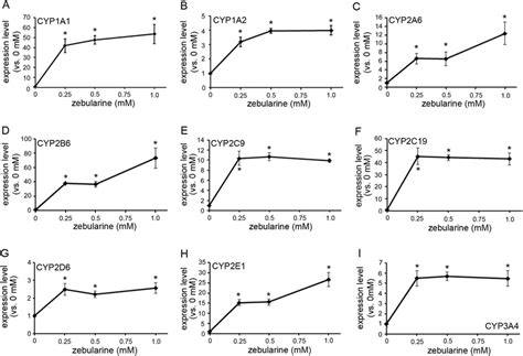 The Effect Of Zebularine On Cyp Gene Expression In Hepg Cells Ai