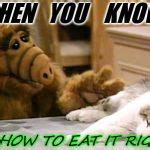 Alf Meme Generator - Imgflip