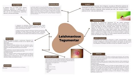 MAPA MENTAL LEISHMANIOSE TEGUMEMTAR Doenças Infecto Parasitárias