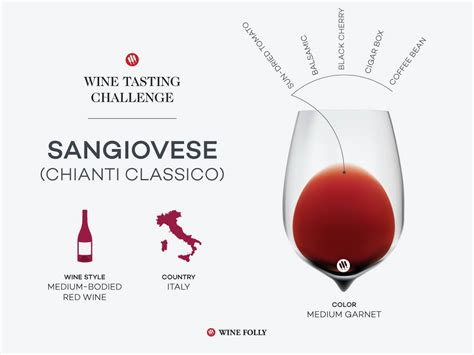 Tasting Challenge: Chianti - A Glass of Italy | Wine Folly