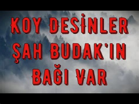 Koy Desinler Ah Budak N Ba Var Deyiminin Anlam Ve Hikayesi Youtube