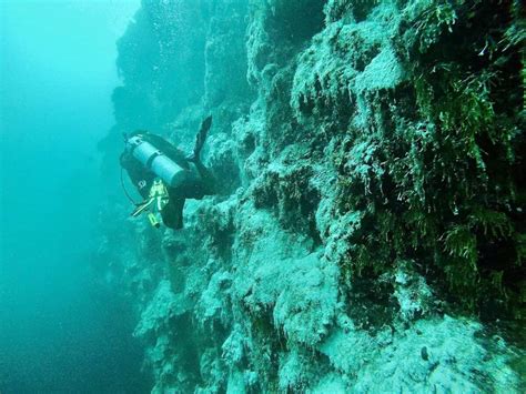 Scuba Diving The Blue Hole in Belize (Overview, Cost, Map & More)