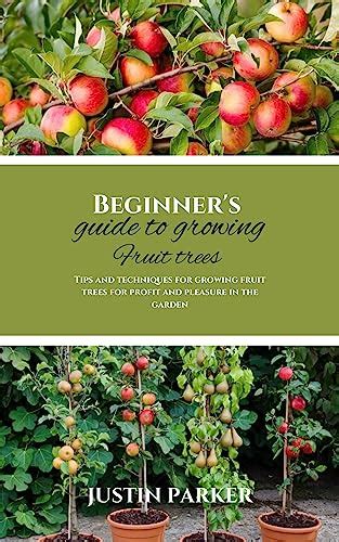 Beginner S Guide To Growing Fruit Trees Tips And Techniques For