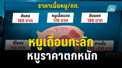 หมูราคาตกหนัก เหตุหมูเถื่อนทะลัก เที่ยงทันข่าว 18 เมย 66 Pptvhd36