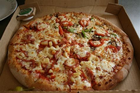 Papa John S Franchise Costs Fees Revenues Profits Review