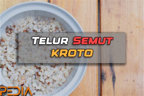 Kroto Atau Telur Semut Rangrang Yang Perlu Anda Ketahui