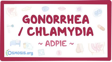 Gonorrhea And Chlamydia Nursing Process Adpie Video Causes And Meaning Osmosis