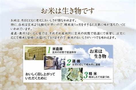 ふるさと納税 3人に1人がリピーター 全5回定期便 岩手ふるさと米 10kg 5kg×2 ×5ヶ月 一等米ひとめぼれ 令和4年産 新米