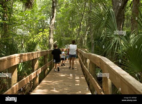 John chestnut sr pinallas county park hi-res stock photography and ...