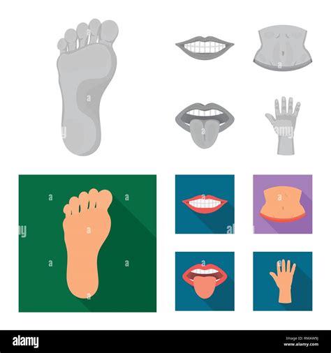 Vector Illustration Of Body And Part Logo Collection Of Body And