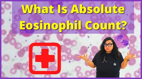 Absolute Eosinophil Count Test Preparation And Results Explained