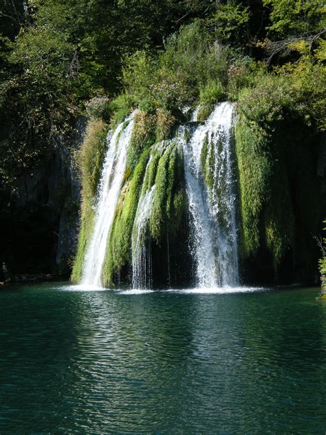 Fotos gratis árbol naturaleza cascada lago claro caminata