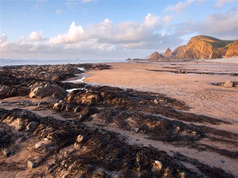 14 Best Beaches in Cornwall for Pretty Views and Clear Waters