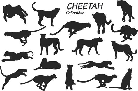 cheetah silhouettes collection 11816381 Vector Art at Vecteezy