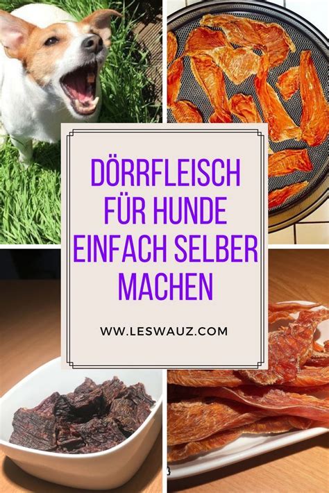 D Rrfleisch F R Hunde Einfach Selber Machen D Rrfleisch Hundefutter