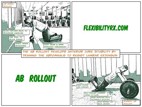 The Ab-Wheel-Rollout | FlexibilityRx - Performance Based Flexibility ...