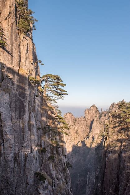 Premium Photo | Yellow mountain or huangshan mountain cloud sea scenery