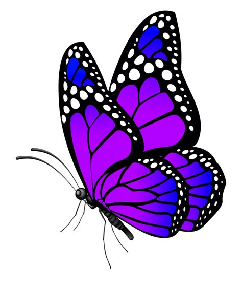 Free Purple Butterfly Png, Download Free Purple Butterfly Png png ...