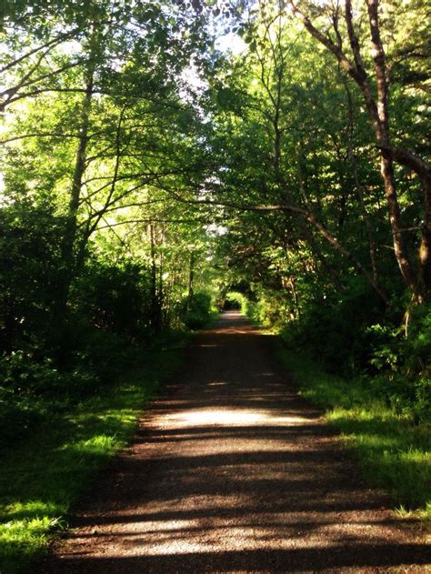 Galloping Goose Trail, Victoria BC | Dream horse barns, Country roads ...