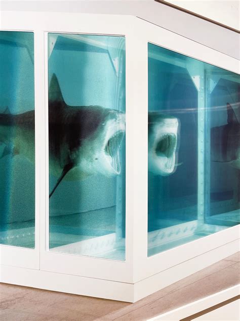 Damien Hirst The Physical Impossibility Of Death In The Mind Of