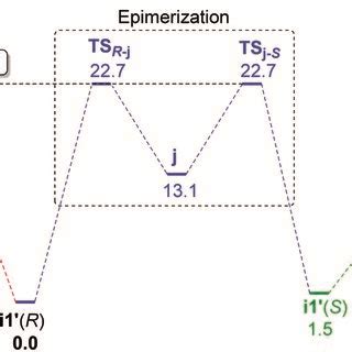 Gibbs Free Energy Profile In Kcal Mol For The Formation Of Major