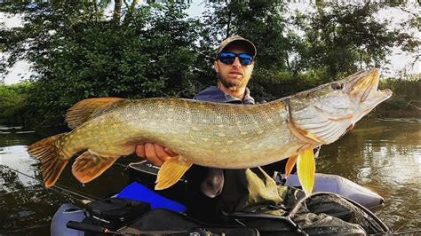 Pêche du CARNASSIER au leurres La technique ULTIME quand il fait