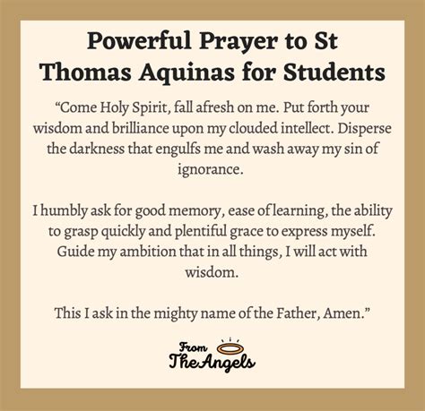 6 Prayers to St Thomas Aquinas Before Study: Success and Focus