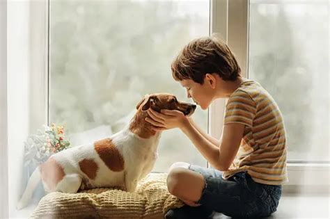 Dog And Child Pictures | Download Free Images on Unsplash