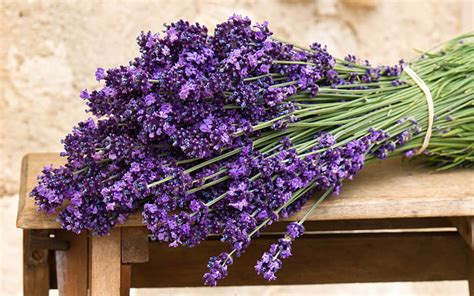 Lavender Flower Bouquet