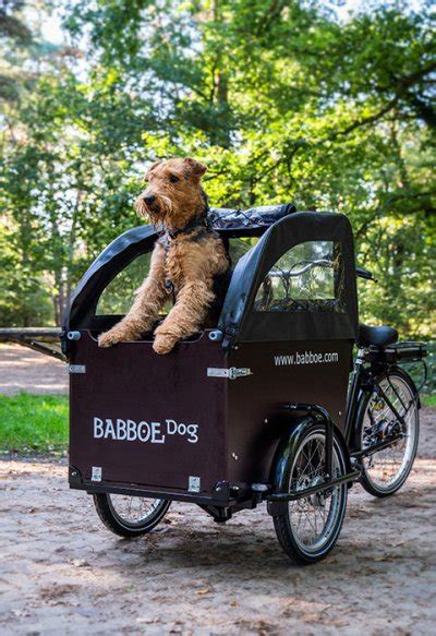 Des V Los Cargos Pour Tous Famille Chien Entreprise Babboe