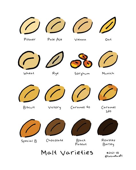 Malt Varieties — Pints and Panels