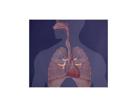 Lung Games