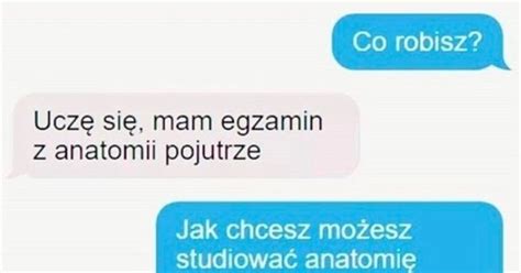 Egzamin Z Anatomii D Jebzmeme Pl