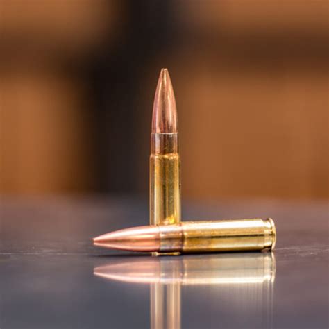 300 Blackout Subsonic Target Ammunition | Discreet Ballistics