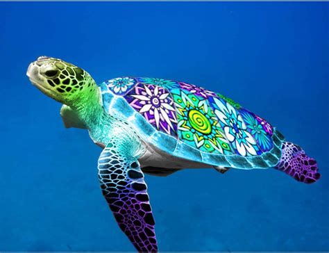 Amazon Reofrey D Diamond Painting Kit Colour The Sea Turtle Full