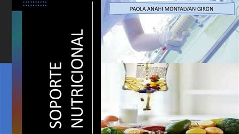 Soporte Nutricional Enteral Y Parenteral Paola Montalvan UDocz