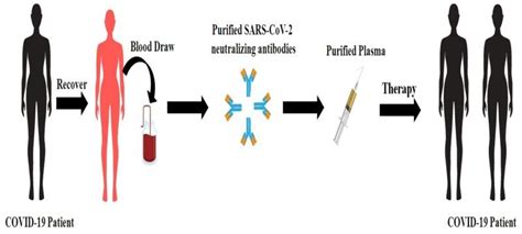 Schematic diagram of plasma therapy. | Download Scientific Diagram