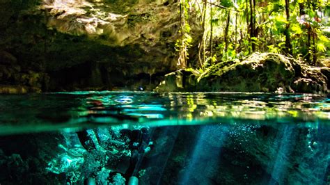 Cavern Course Mexico Blue Dream