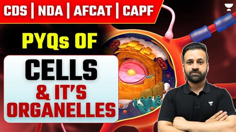 Cells And It S Organelles Pyqs Crack Nda Cds Afcat Capf Exams