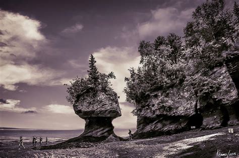 Hopewell Rocks Digital Art By Ken Morris Fine Art America