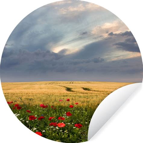 Wallcircle Muurstickers Behangcirkel Bloemen Tarwe Wolken