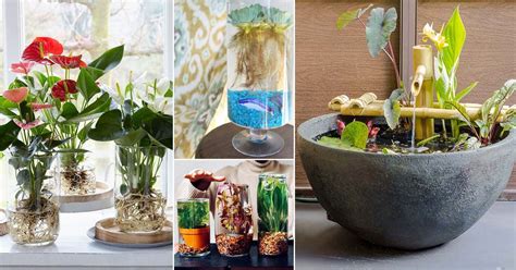 25 Great DIY Indoor Water Garden Ideas