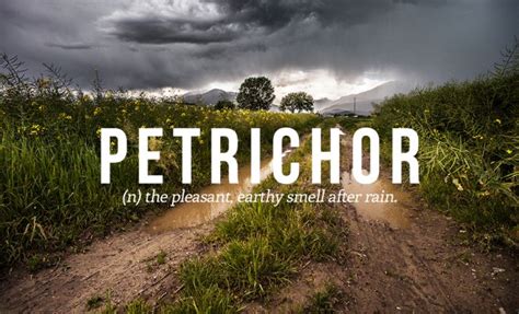 These Are The 32 Most Beautiful Words In The English Language 32 Pics