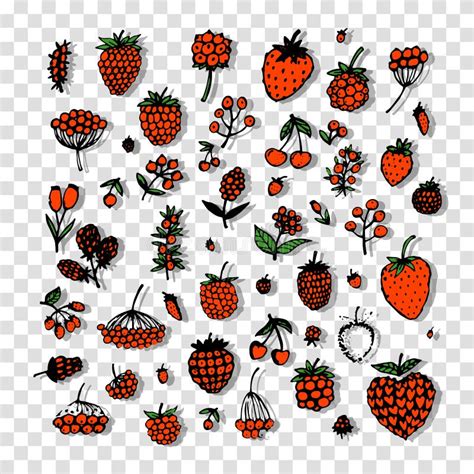 Berries Collection Sketch For Your Design Stock Vector Illustration