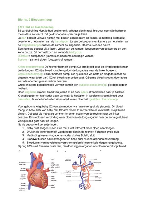 Biologie Bloedsomloop Nectar H Vwo Bio Hs Bloedsomloop Hart