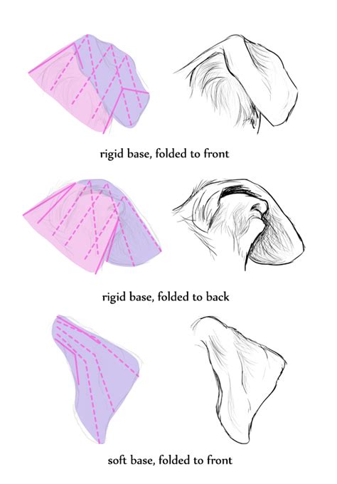 Dog Ears Dog Drawing Tutorial Canine Drawing Animal Drawings