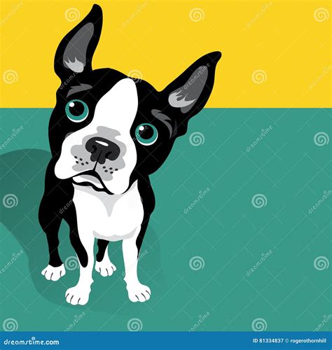 Vector Illustration Of A Cute Boston Terrier Dog Stock Vector